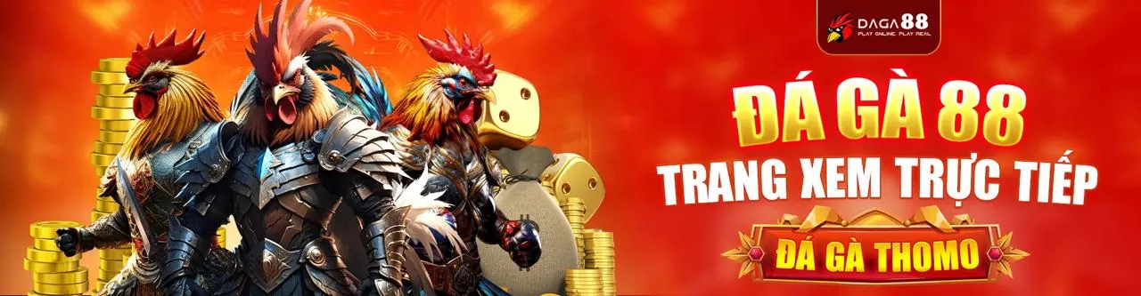 Chọn trận đấu đá gà và đặt cược