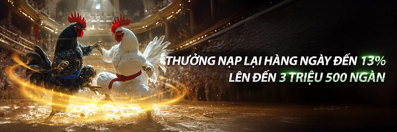 Chương trình khuyến mãi hấp dẫn